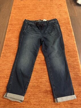 torrid Dark Wash Cropped Denim Jogger Pants
